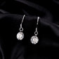 Noutai 1ct D Color Moissanite Hook Earrings – 925 Sterling Silver